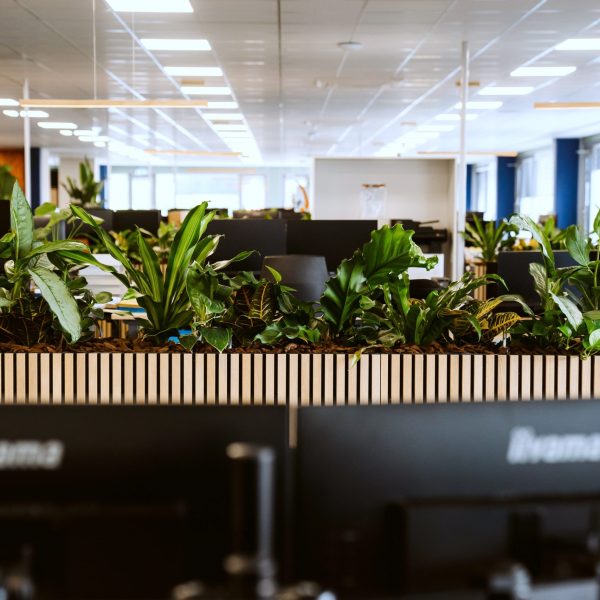 Kantoorontwerp kantoorruimte Royal Ingredients Group door Studio Tarry