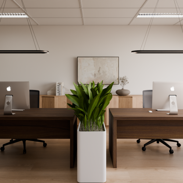 Zakelijk ontwerp Alkmaar